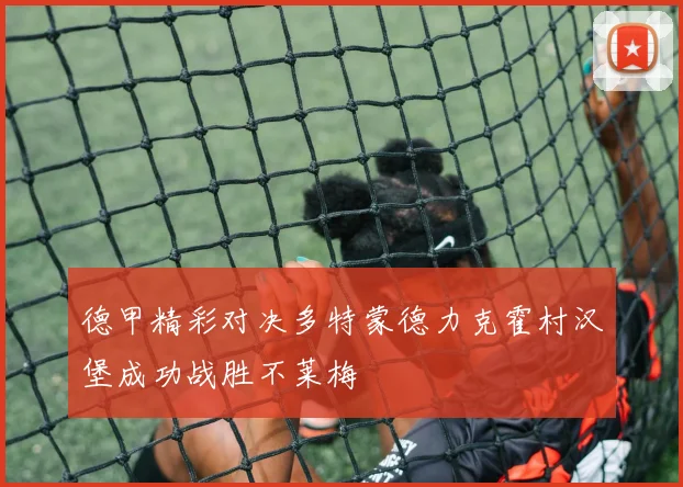 德甲精彩对决多特蒙德力克霍村汉堡成功战胜不莱梅