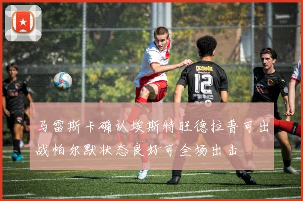 马雷斯卡确认埃斯特旺德拉普可出战帕尔默状态良好可全场出击