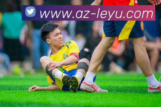 乐鱼体育平台生态图