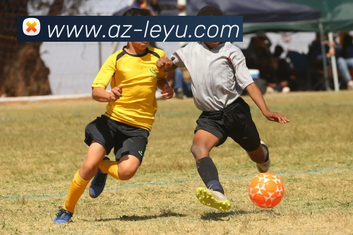 乐鱼体育APP 封面图